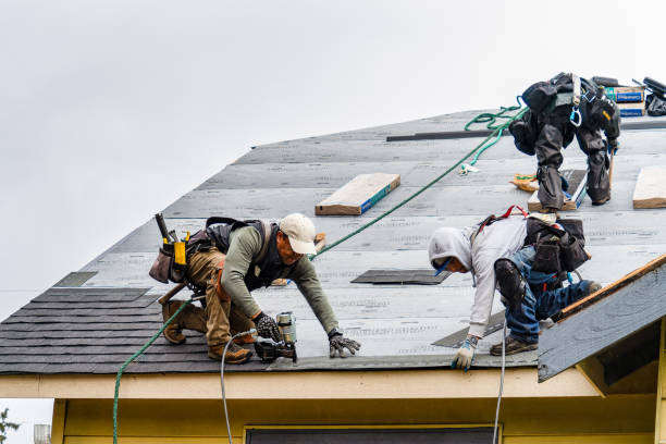 Professional Gutter Installation technician working in Sharon, TN